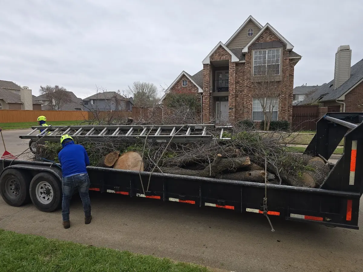 Expert Tree Fertilization with proper safety equipment in Ocoee